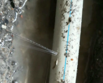 自贡市卫生间测漏水多少钱